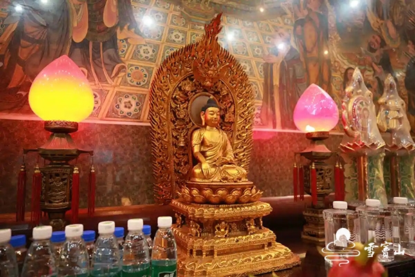 华严共修法会正在进行中丨同登华藏玄门,共入毗卢性海!